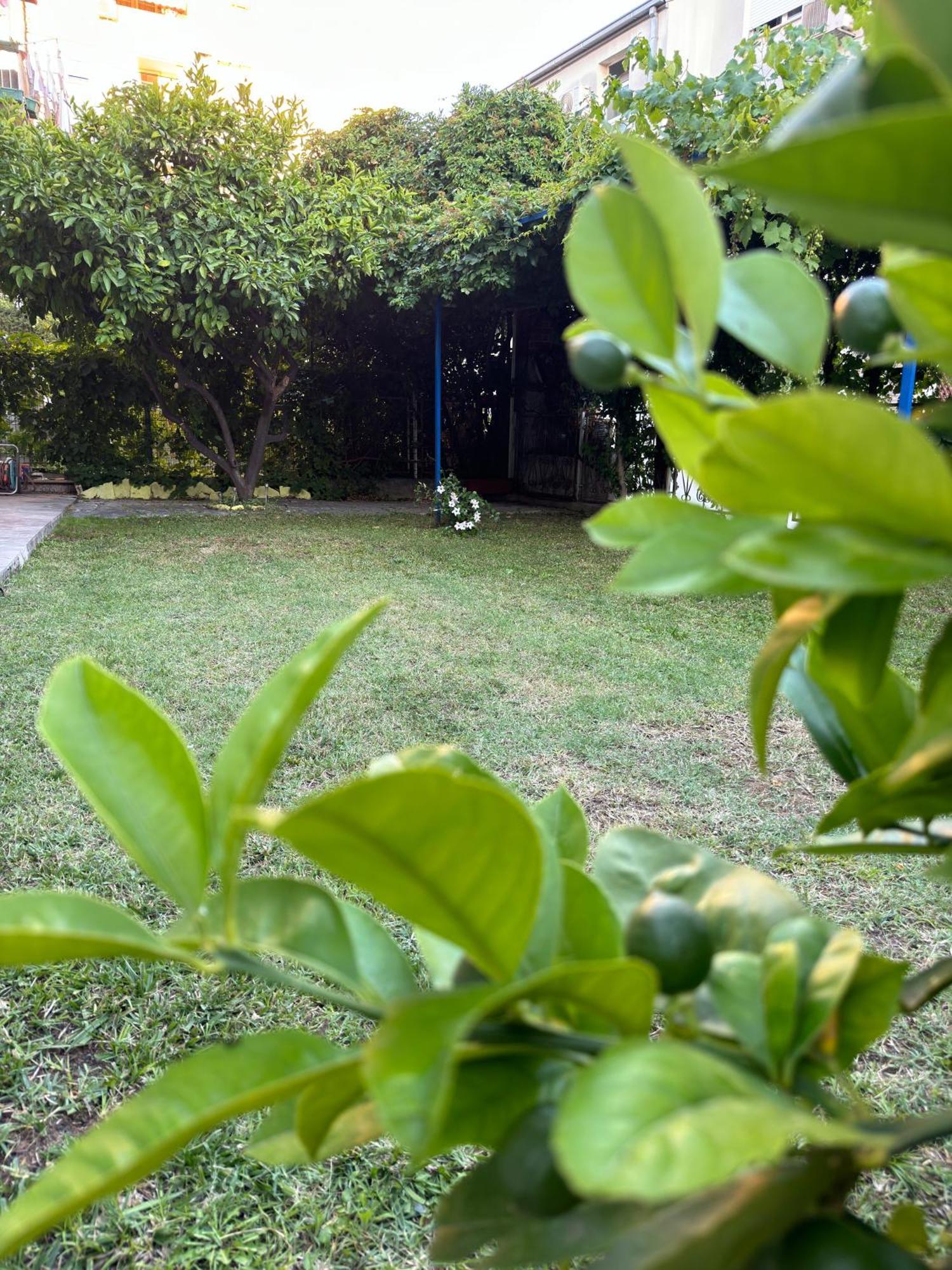 Apartament Valentinas Garden Split Zewnętrze zdjęcie